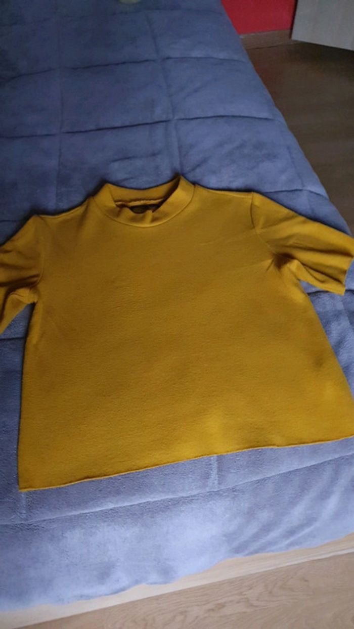 Pull court - photo numéro 12