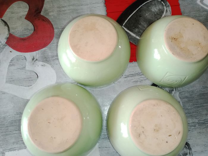 4 bols vert identique - photo numéro 5