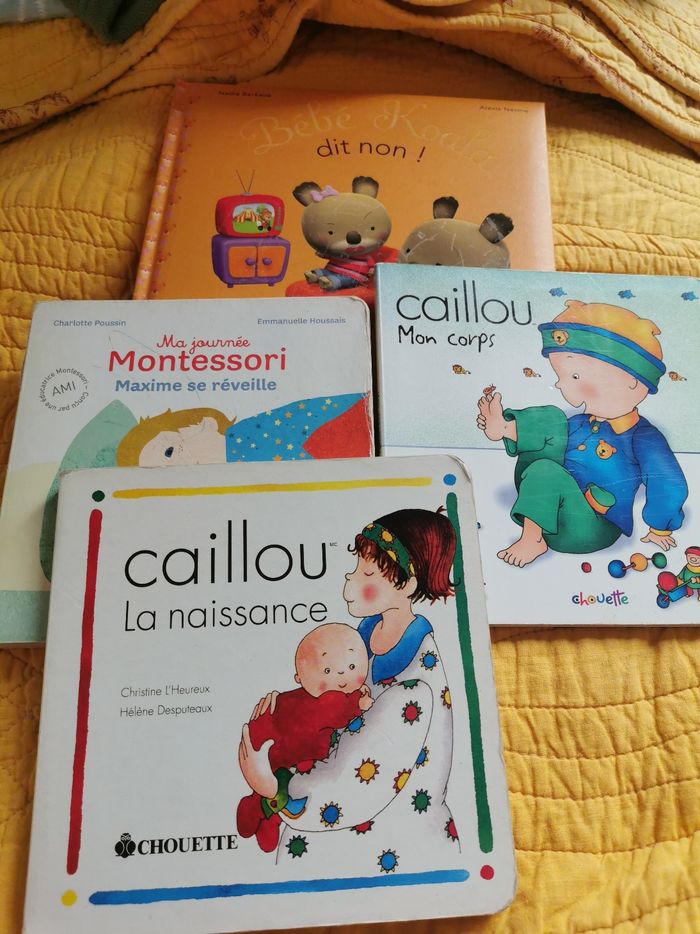 Lot de 4 livres cartonnes enfant
