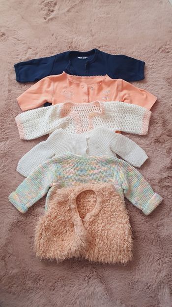 Lot vestes / gilets laine et légères