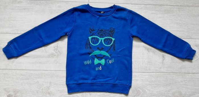 Sweats ou pulls garçons taille 6ans H&M - photo numéro 4