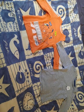 Lot de 2 tee shirts à manches longues taille 18 mois