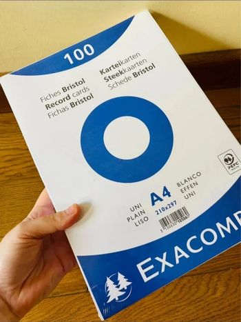 Énorme étui de 100 FICHES - bristol 210X297MM - blanc neuf