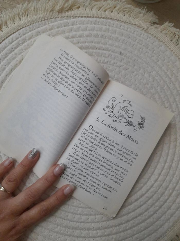 Livre Juju pirate - photo numéro 4