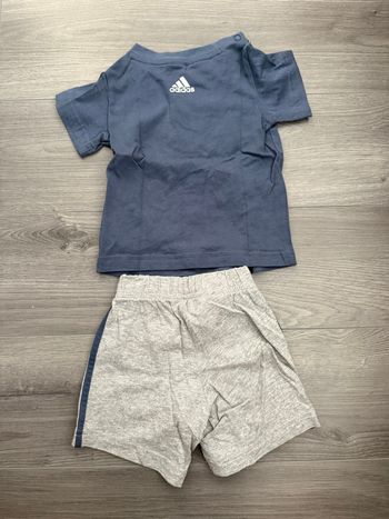 Ensemble 