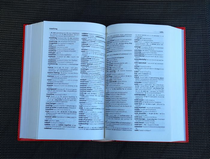 Dictionnaire, CD Rom Compact Larousse Français anglais - photo numéro 6