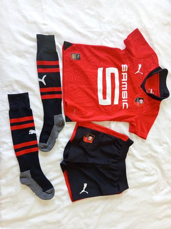 Ensemble du stade rennais