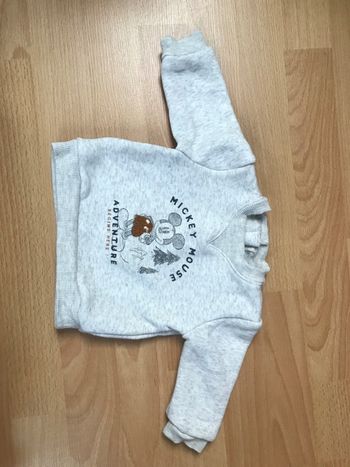 Sweat Mickey