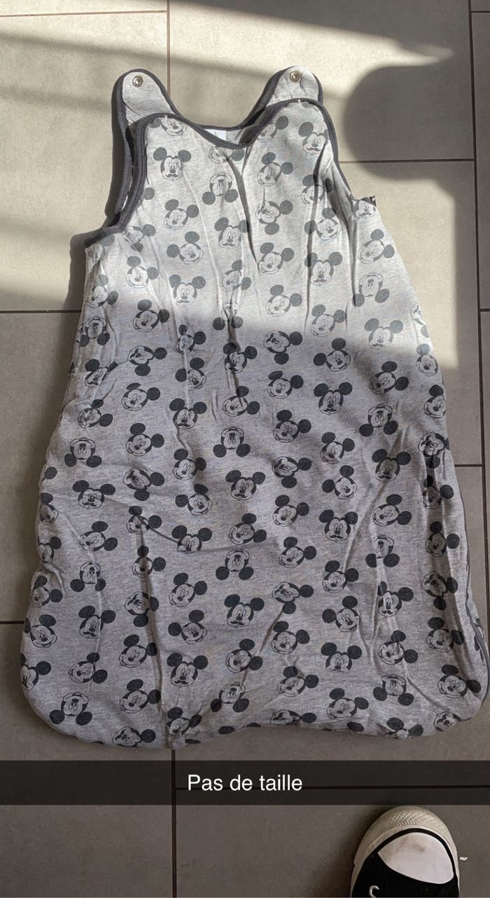 Gigoteuses - photo numéro 2