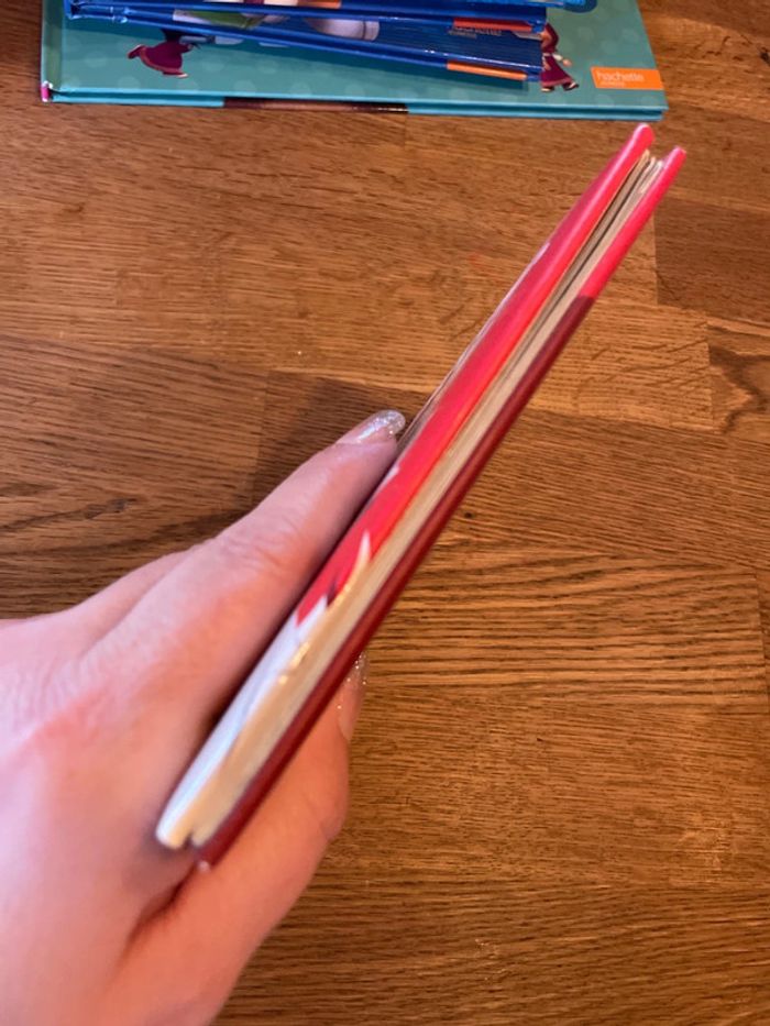 Livre Collection Pourquoi Gabin Le chien - photo numéro 4