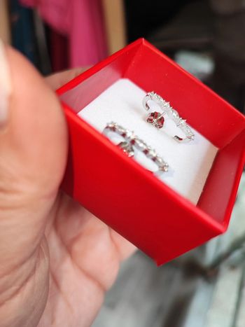 Paire de boucles d'oreilles argent