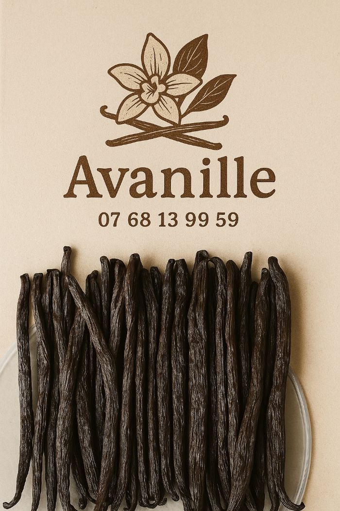 Vanille bourbon Xl