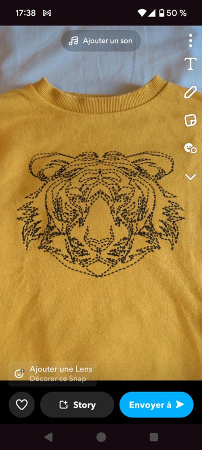 Pull tigre - photo numéro 2