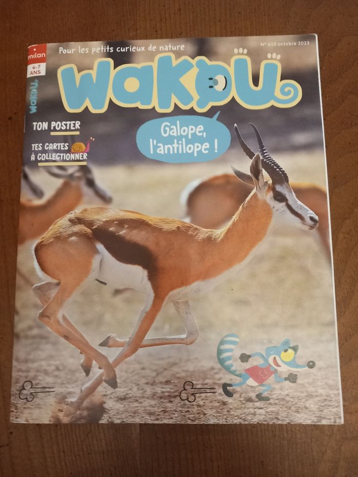 Lot 6 magazines Wakou - photo numéro 7