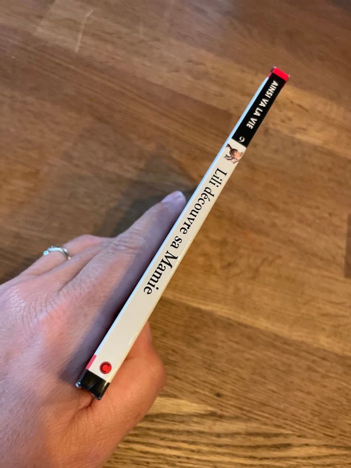 Livre Max et LiLi Numéro 9 Lili découvre sa Mamie - photo numéro 2