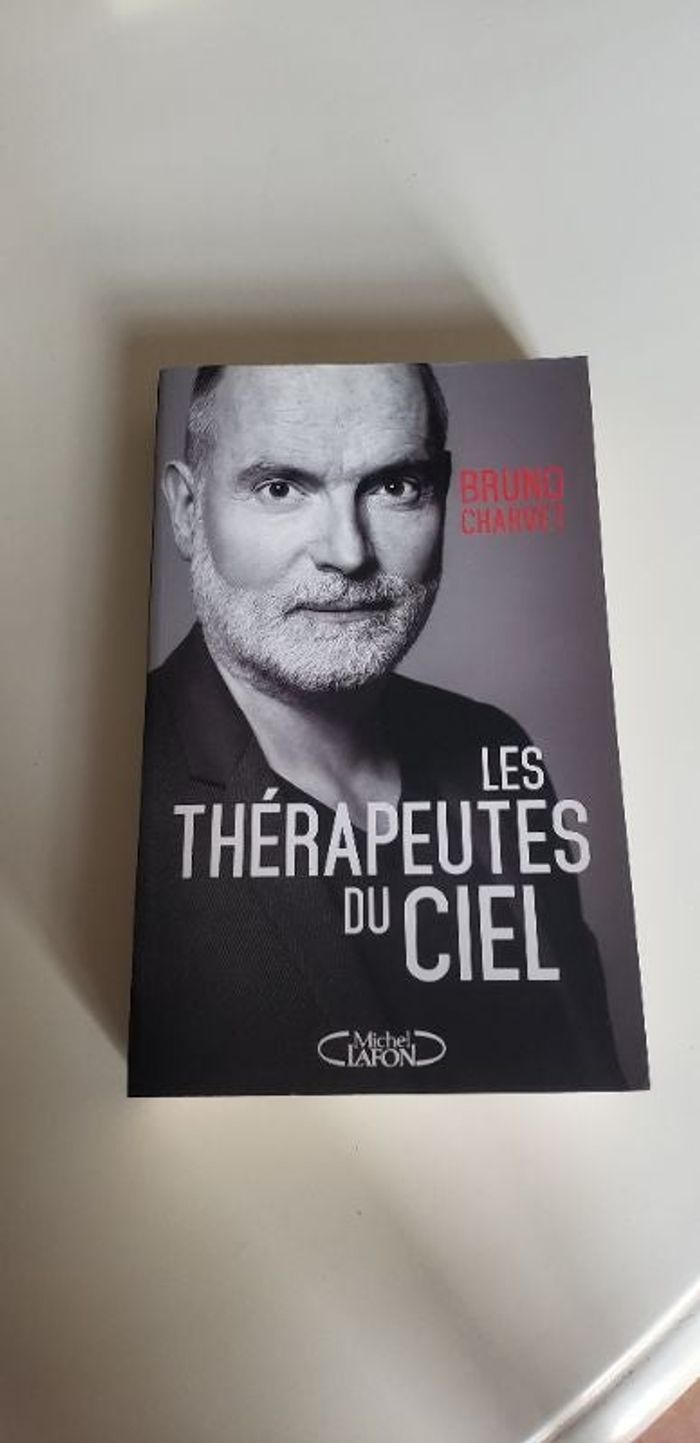 Livre Les thérapeutes du ciel.