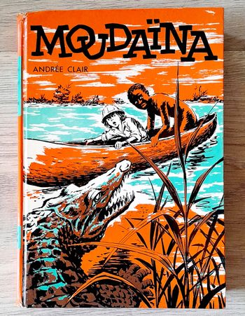 Moudaina ou deux enfants au coeur de l'afrique - Andrée clair