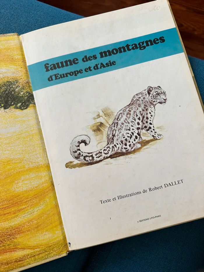 Livre encyclopédie rare Faune des Montagnes du Monde collection univers Robert Dallet Lito Paris - photo numéro 3