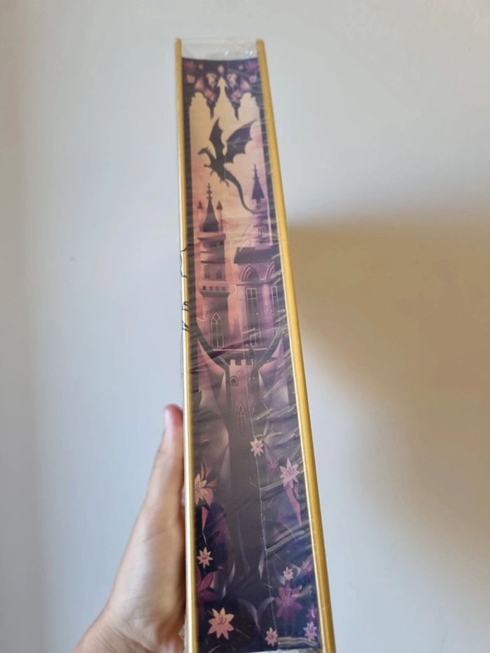 Box Fourth Wing hemingway special spray edges - photo numéro 2