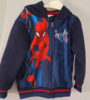 Veste Spiderman