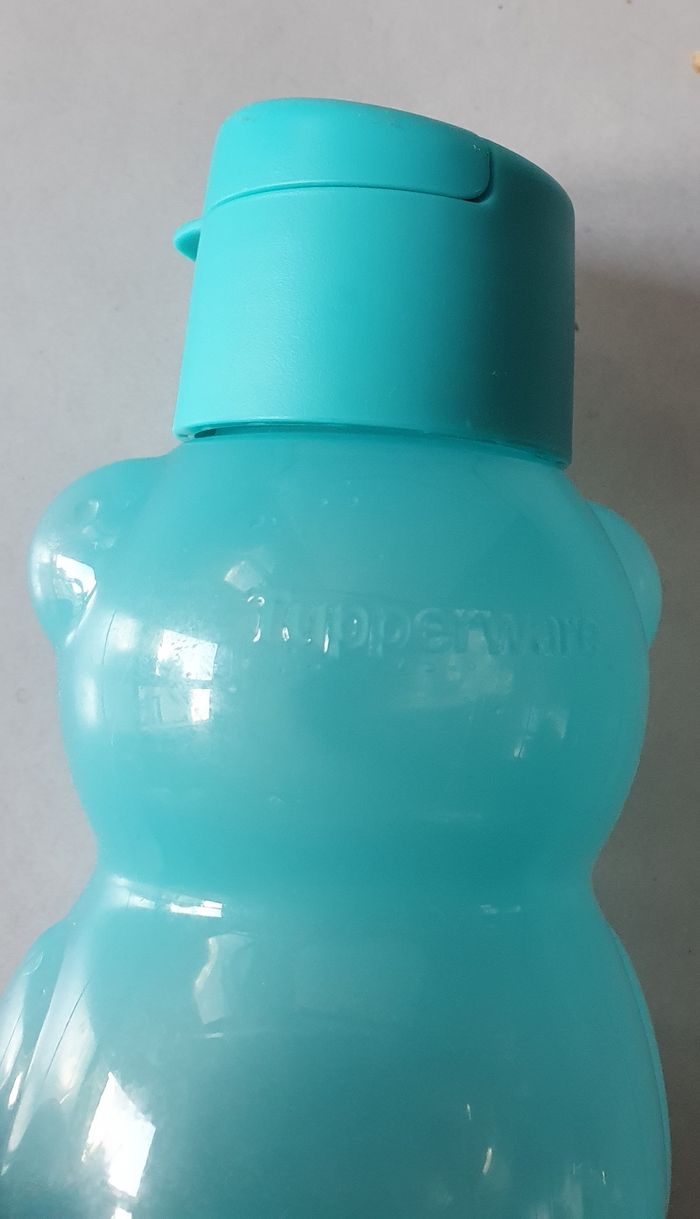 Gourde - photo numéro 2