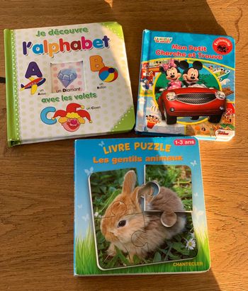 Lot livres puzzle et apprentissage