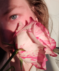 profil