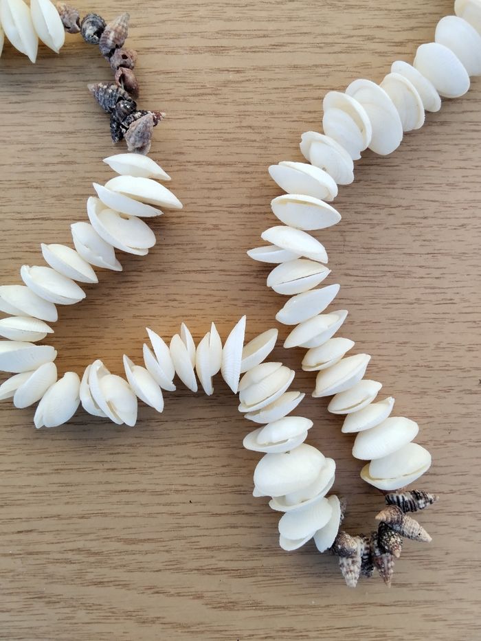 Collier coquillage - photo numéro 3