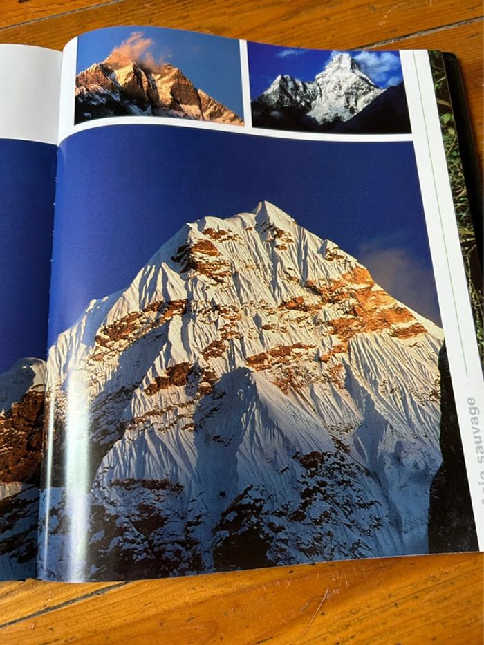 Asie sauvage - photo numéro 2