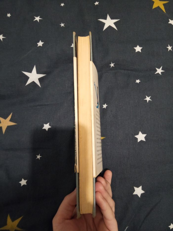 Livre (154) 📚 H.M.S. fidelity - photo numéro 4