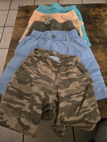 Lot 5 short