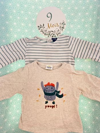 Lot de 2 sous pull 9 mois