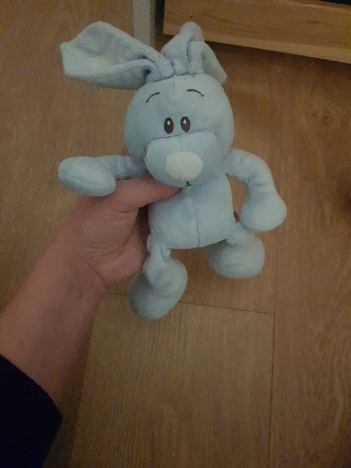 Lapin bleu - photo numéro 3