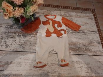 Magnifique grenouillère Tigrou