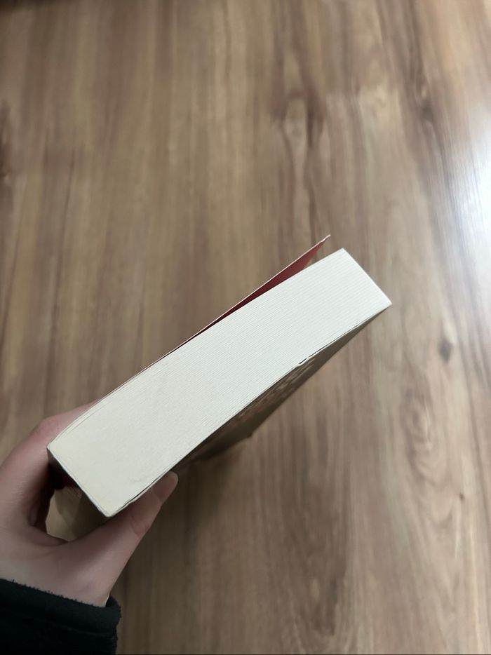 Livre de Donato Carrisi «Le jeu du chuchoteur» Tome 4 - photo numéro 6