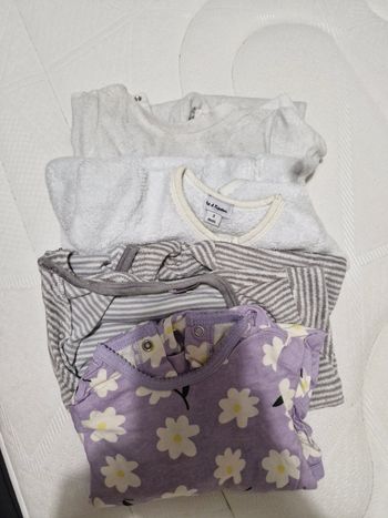 Lor de 4 grenouillères