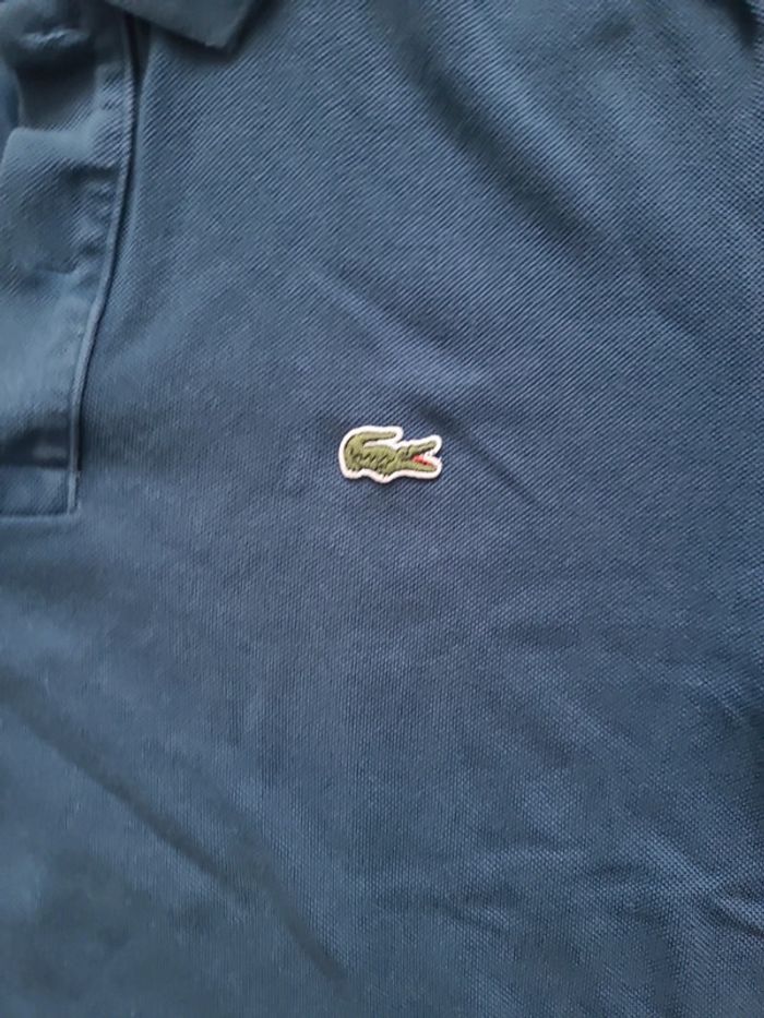 Polo lacoste - photo numéro 2