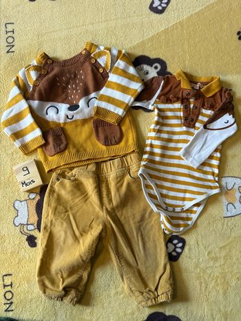 Ensemble renard dpam