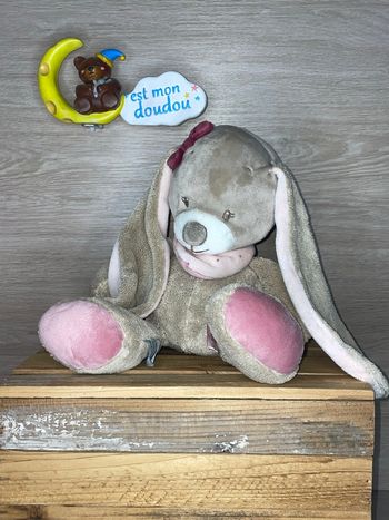 NT220 doudou lapin 🐰 nattou