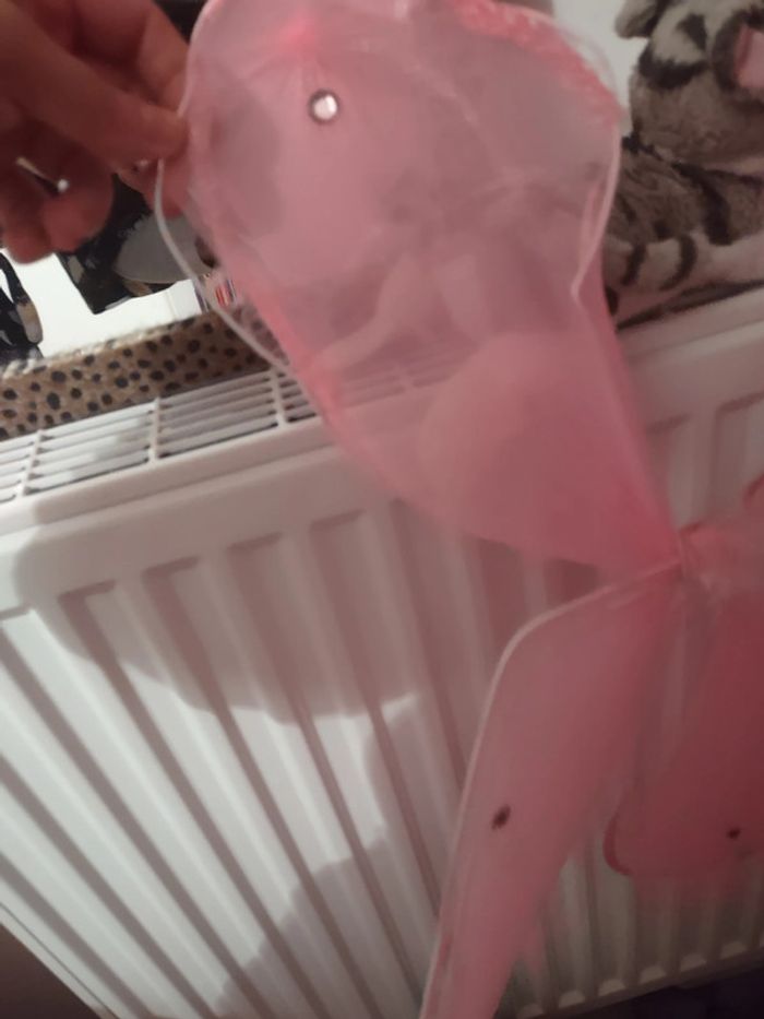 Ailes de papillon roses - photo numéro 2