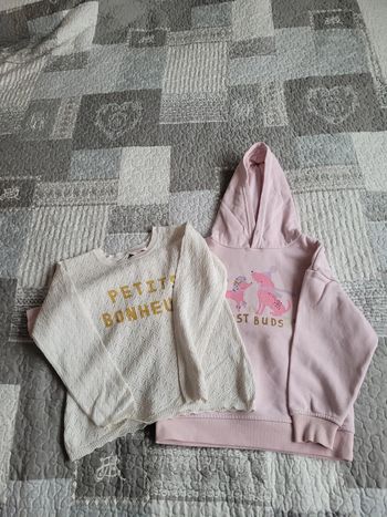 1 pull et 1 sweat , taille 6 ans et 5/6 ans