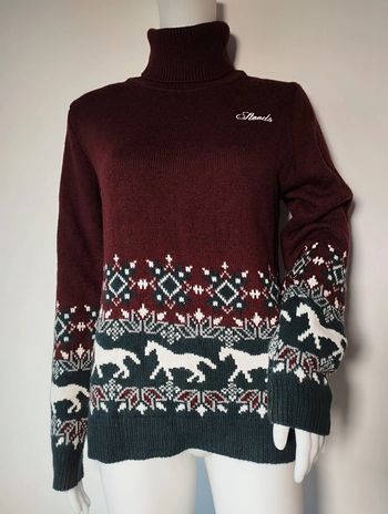 Pull hiver col roulé taille s Steeds