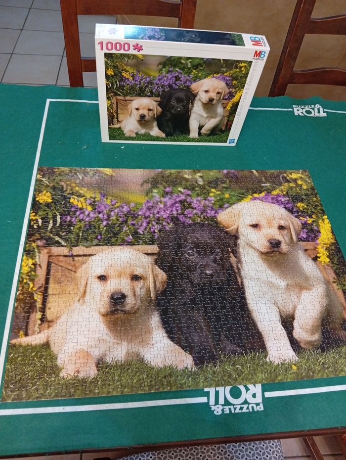 Puzzle 1000 pièces - photo numéro 2