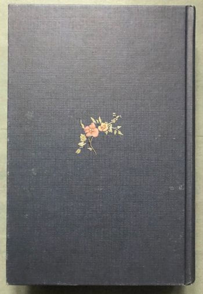 Jane Eyre de Charlotte Brontë - photo numéro 2