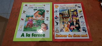 Lot livres mon grand livre de mots