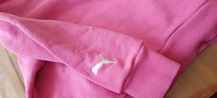 Pull puma - photo numéro 9
