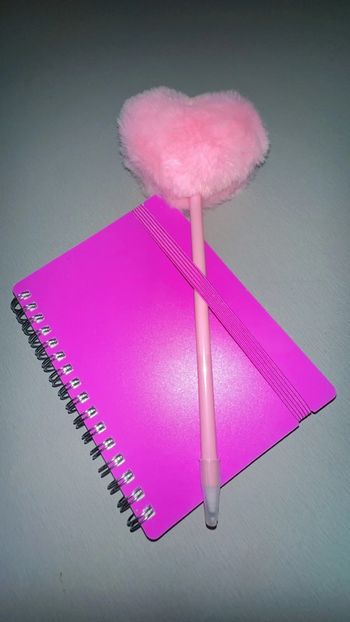 Note Book Stylo Cœur Rose et Fuschia New