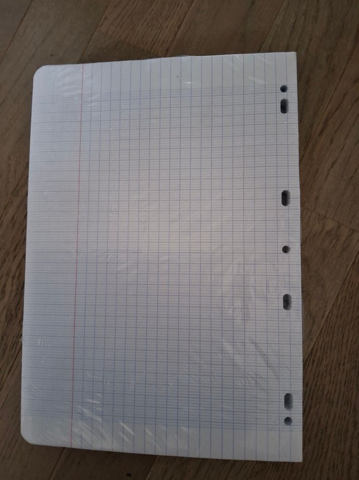 Feuilles simples grands carreaux, grand format, perforées - photo numéro 2