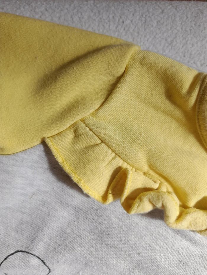 Sweat winnie l'ourson 12 mois - photo numéro 3