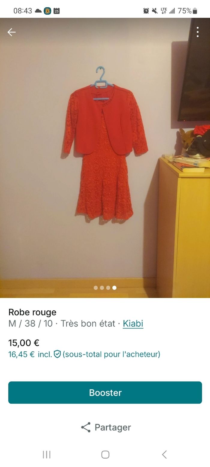 Robe - photo numéro 4